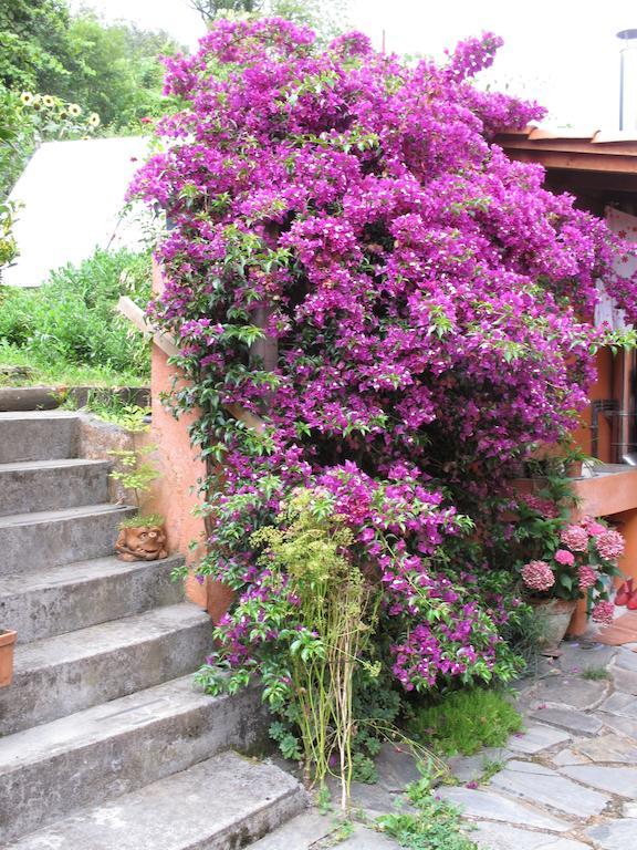 Casa Rural Enkartada 소푸에르타 외부 사진